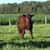 Larry Shelly Adams's profile image