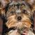 Howard Burnette's profile image