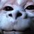 Naavah Love's profile image