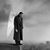 Amir Abd Eldaim's profile image