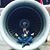 Qing Luo's profile image
