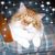 Elizabeth Whenrey's profile image