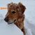 Andrea Sopkovich's profile image