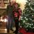 Trish Frantz's profile image