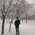 Mohammad Biglari's profile image
