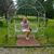 Millie Davis's profile image