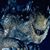 Steve Trejo's profile image