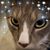 Cindy Eckenrode's profile image