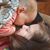 Sheryce Borgatti's profile image