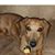 Esther Hunter's profile image