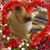 Phyllis Haley's profile image