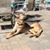 Max Garcia-Teters's profile image