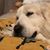 Maura Pirani-Parks's profile image