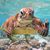 Dave Drass's profile image