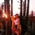 Stephanie Nazario's profile image