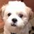 Nadine Fein's profile image