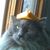 Laurie Bergh's profile image