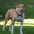 Petey Miller's profile image