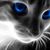 Leesa Pringle's profile image
