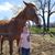 Katie Culbert's profile image