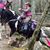 Lynn Dropka Womack's profile image