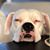 Amy Grabowski Sanders's profile image