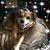 Julie Ann's profile image