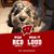 Barb Pittner's profile image