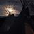 Annierose Wise Moran's profile image