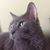 Andrea Smith's profile image