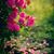 Zunaira Mirza's profile image