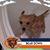 Tom Boyle's profile image