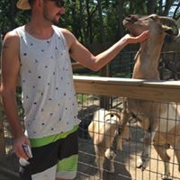 Daniel Wood's profile image