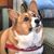 Sophie Farrace Farrell's profile image