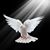 Martin James Monica's profile image