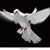 Adrian Rivera's profile image