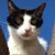 Daniela Peira Bouneou's profile image