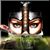 Mimores Angie's profile image