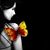 Anna Lu's profile image