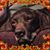Melissa Burkhardt's profile image