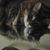 Babs-z Aroo's profile image