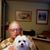 Al Emerman's profile image