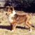Norma Allred's profile image