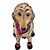 Todd Nibbe's profile image