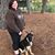 Lisa Williams's profile image
