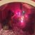 Georgette Harmon's profile image