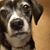 Betsy Scott's profile image