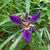 Anke Masters's profile image