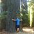Ian Gibler's profile image