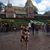 Molly Andler's profile image